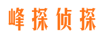 武邑捉小三公司